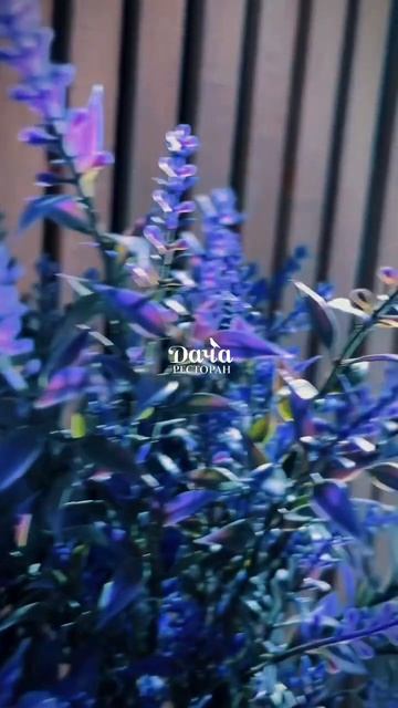 Дачный вайб #минск #банкетныйзал #wedding