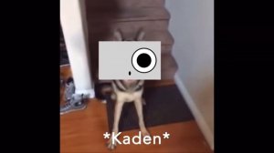 Macroverse Vines/Memes I found in the Scattered Disc (try not to laugh) - Astro-Kaden!