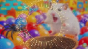 Хомячок убегает из красочного лабиринта с пауком!