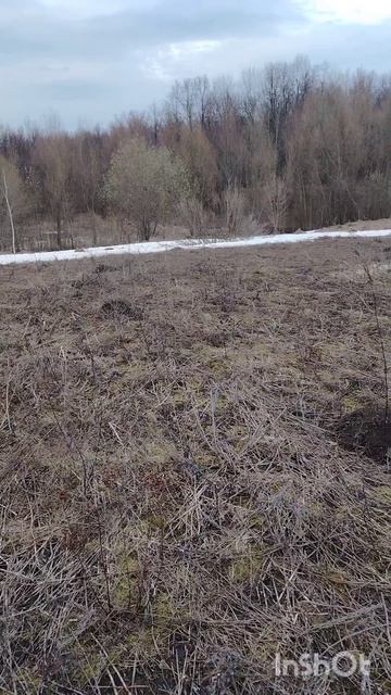 Пробуждение весны