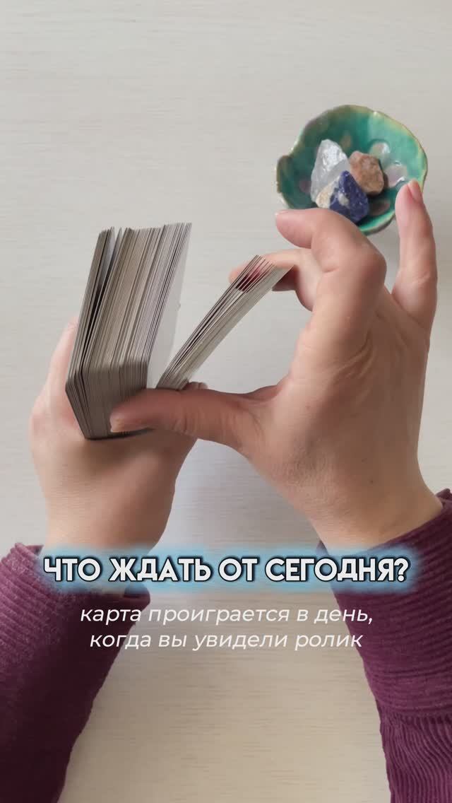 Что принесет вам сегодня?
