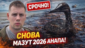 В АНАПЕ СНОВА МАЗУТ… Я ПОЕХАЛ И ПРОВЕРИЛ