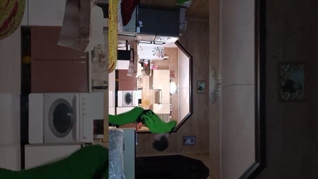 VID_20260414_191749.mp4