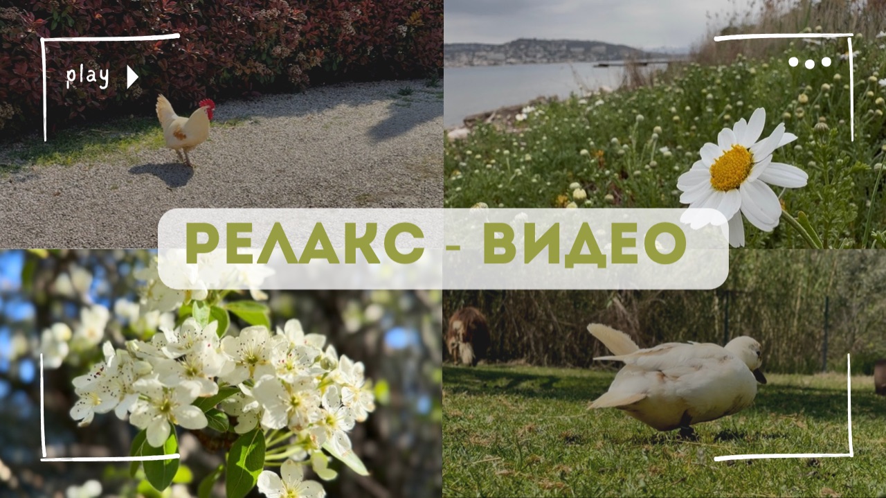 Мини-ферма и другие «зеленые» островки Лазурного берега