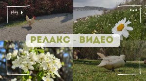 Мини-ферма и другие «зеленые» островки Лазурного берега