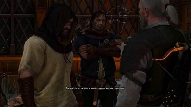 The Witcher 3 Wild Hunt #20. Трисс Меригольд