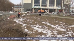 13.04.2026 Побережье реки Рогатки в Южно-Сахалинске очистят от сухостоя
