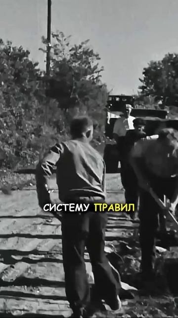 Правила дорожного движения в США. Как это работает?