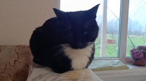 Рассказ - "Другая"