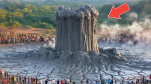 75 природных моментов, которые попали на камеру.