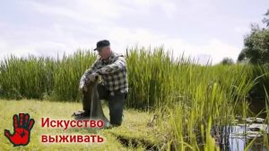 Походная стирка