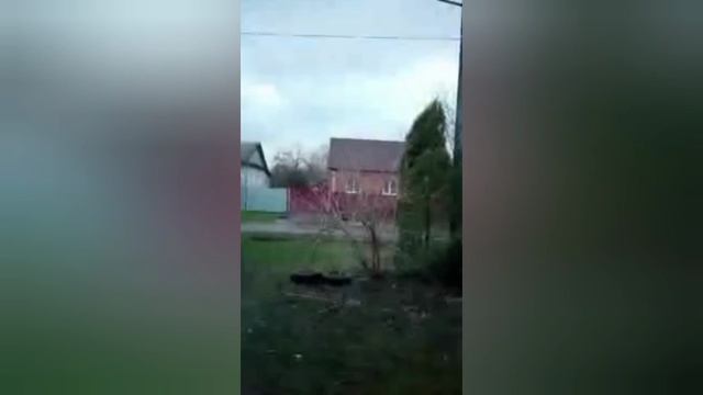 Цвет травли синий