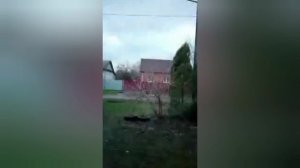 Цвет травли синий