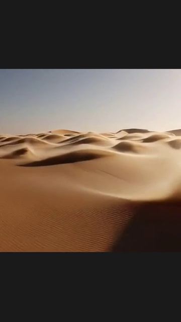 пустыня экспедиция пейзаж пески путешествия