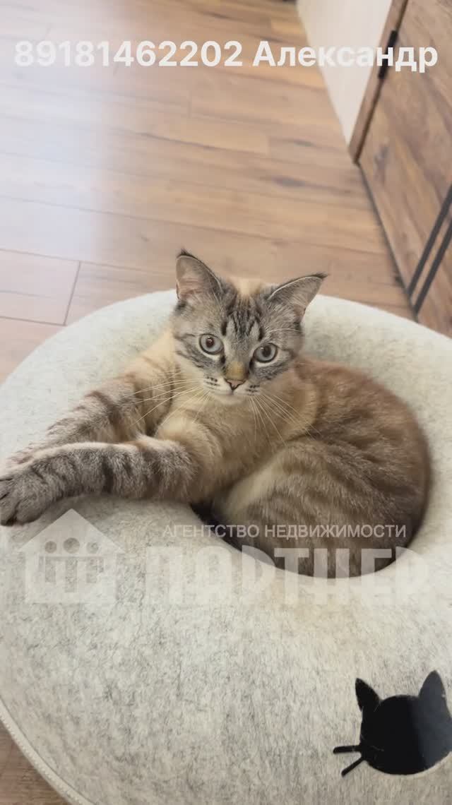 Усть-Лабинск продажа недвижимости