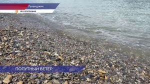 Четверо нижегородских спортсменов приняли участие во Всероссийских соревнованиях по парусному спорту