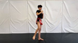 Удары ногами сбоку