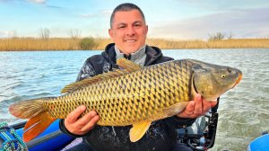 Вот это трофей! Огромный сазан | Рыбалка на Волге. Рыбалка в Астрахани.