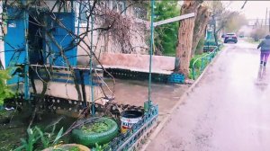 Видео под кофеёк ☕Прогулка под дождём!