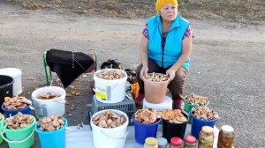 торговля на трассе //жду богатых покупателей 🙋😃// архив //