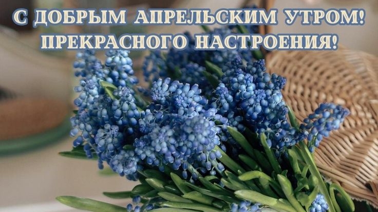 С добрым утром! Шикарная музыкальная открытка.