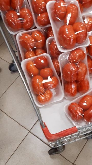 помидоры в матвеевском💥