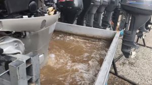 Арт 2154. Запуск лодочного мотора Honda BF50. 20011 год.