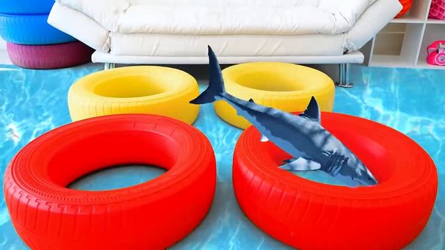 Ники и Крис - любимые истории с младшим братом