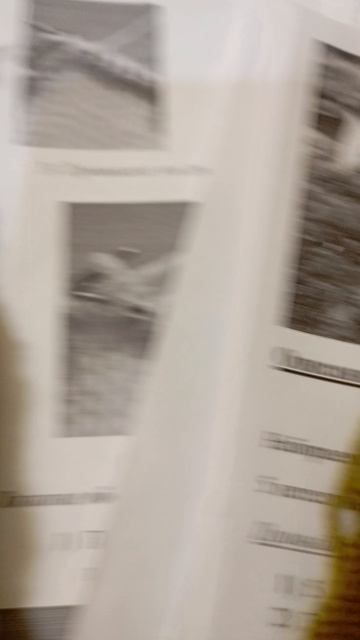 моя первая породистая жабка спицами в процессе