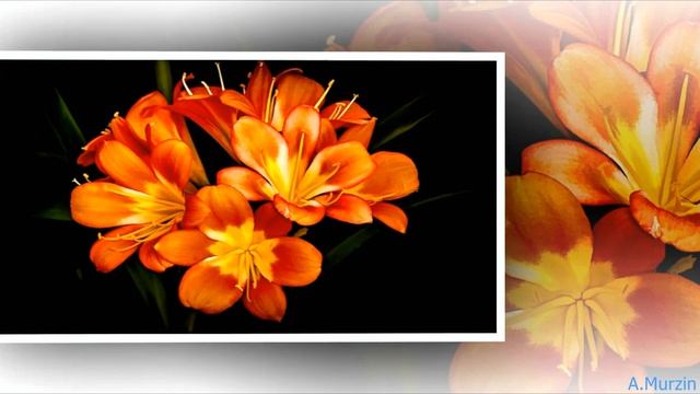 Angelo Taylor - Earth Orbit