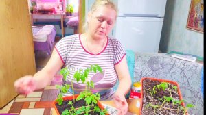 14-04 РЕШИЛА ИХ СПАСТИ,И МЕНЯ ПОНЕСЛО,МОЯ ДЕРЕВЕНСКАЯ ЖИЗНЬ