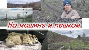 Едем в лес за грибами!