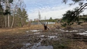 Дренаж участка.