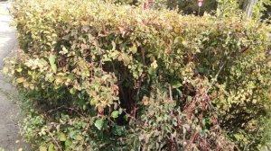 Один из дней города Евпатории | 14 сентября 2021 г | Крым ХАН БАТОН XAH 6ATOH | VID_20210914_144841