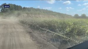 В Курске вынесли очередной приговор