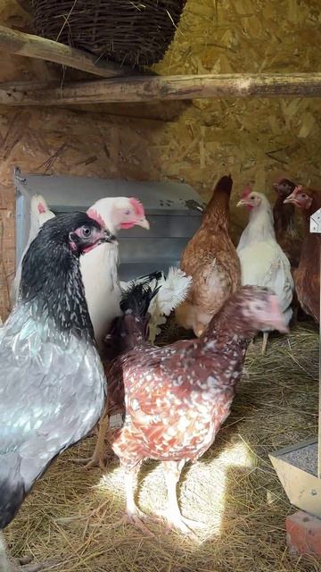 Я здесь «родился» #дом #деревня #память #родители