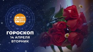 Гороскоп на 14 апреля. Доброе утро. Фрагмент выпуска от 14.04.2026
