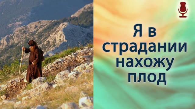 Я в страдании нахожу плод