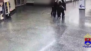 Транспортные полицейские задержали иностранца, ограбившего соотечественницу в аэропорту Внуково