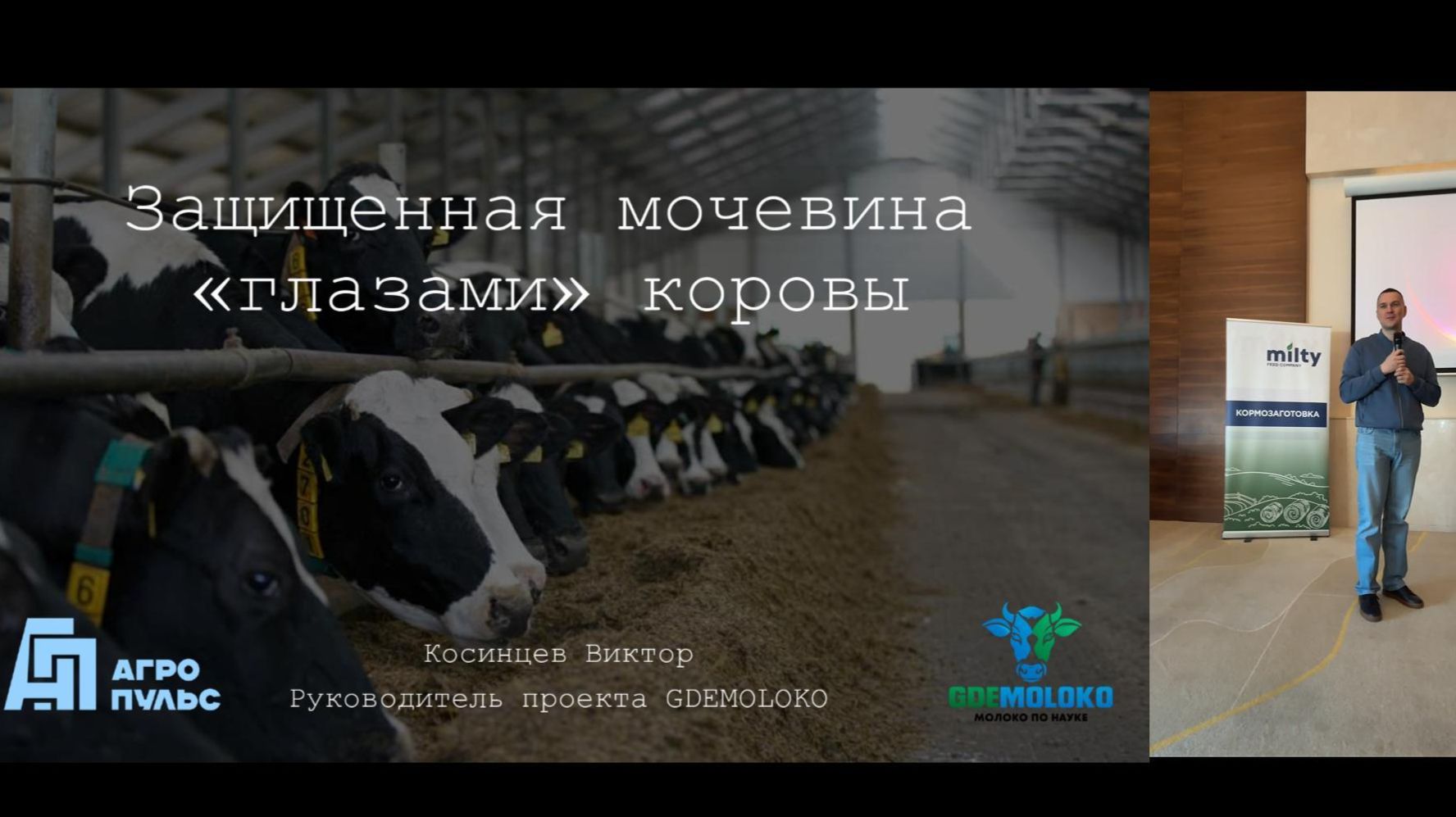 Защищенная мочевина «глазами» коровы: разбор от эксперта