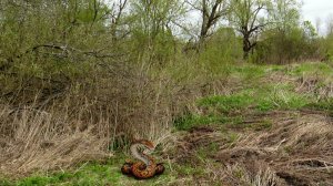 Сморчковые места