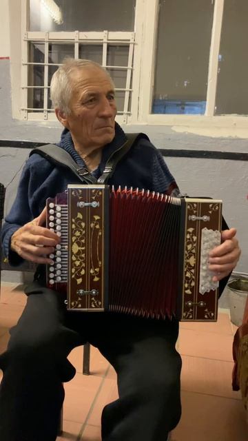 Цыганочка гармонь 14426