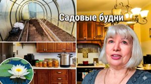 Делаю тушенку.Что купила в Fix Price.Готовим теплицу и грядки к сезону.