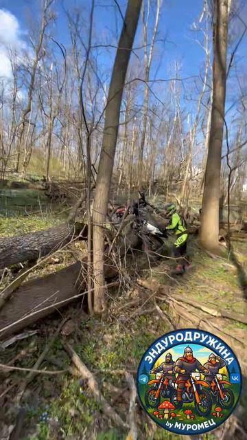 Шиловская дубрава