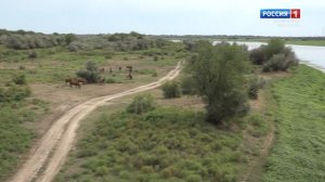 "Актуальный репортаж" (на ногайском языке)