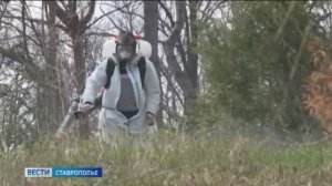 «Вести. Ставропольский край» 14.04.2026 (11.30)