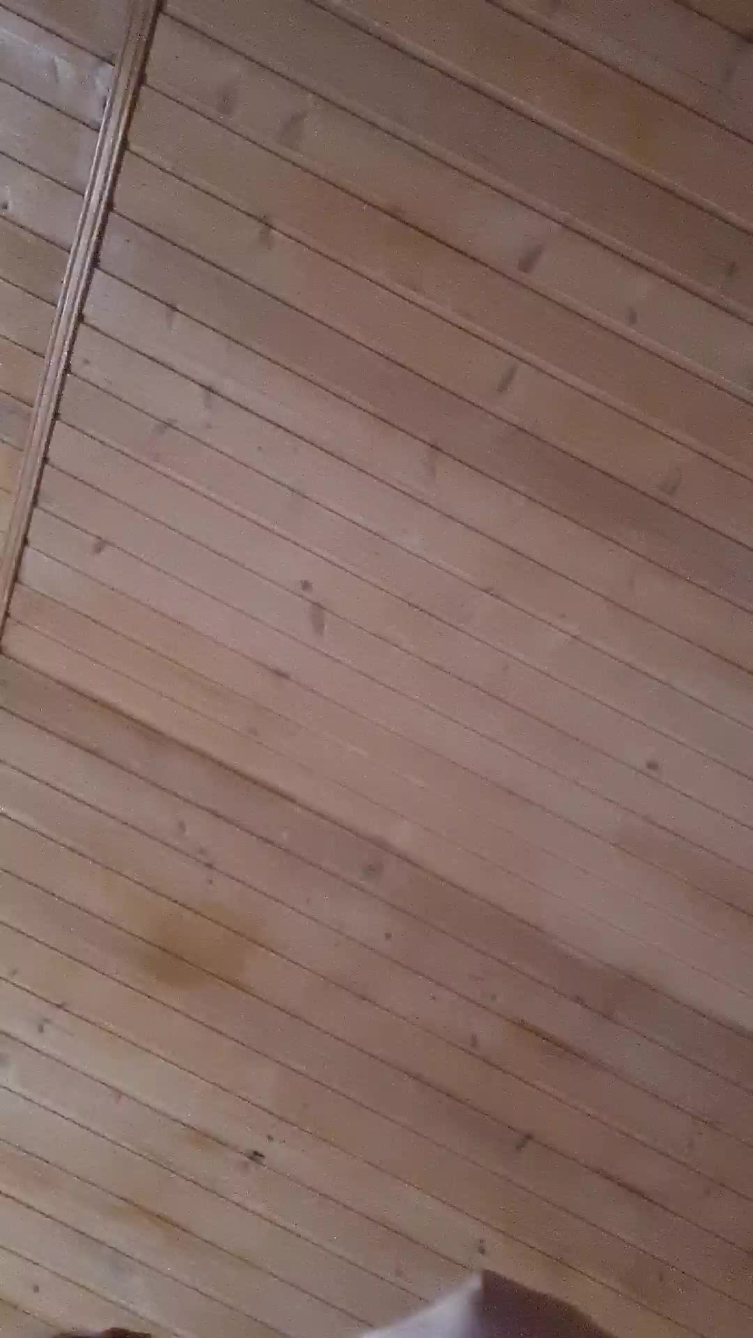 Я проснулась