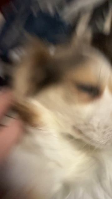 МАрти... Марти... уьу 🧸