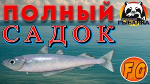 ДИКИЙ КЛЕВ ПУТАССУ. Норвежское море. Русская рыбалка 4. рр4. Russian Fishing 4