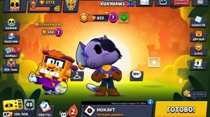 Я админ? делаю персонажам brawl Stars своё название.